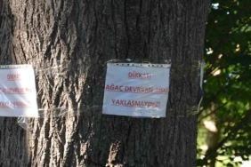 beykozda-saka-gibi-uyari