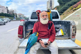 Beykoz’un papağanlı amcası ilgi odağı oldu!