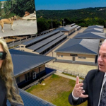 Türkiye’ye örnekti! Beykoz CHP’ye geçince kaderine terk edildi